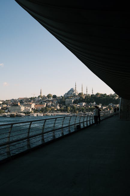 A scenic view of Istanbul featuring the iconic Suleymaniye Mosque under a clear sky.
