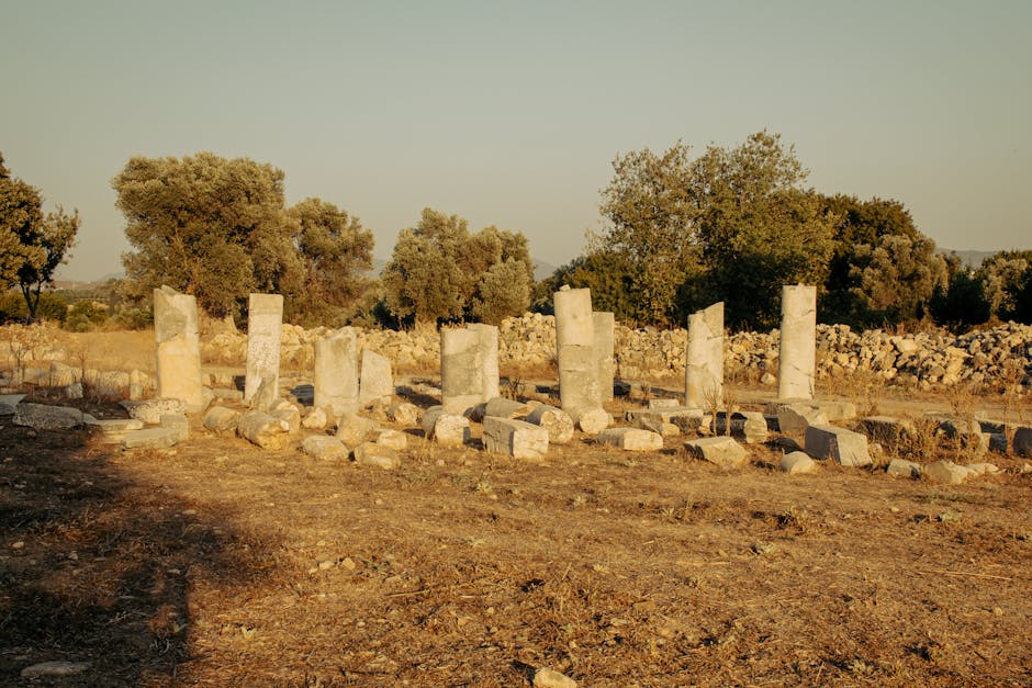Stone columns of ancient ruins in a sunny archaeological site with trees.